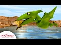 Buddy Goes Fishing With His Family Dinosaur Train Jim Henson Company