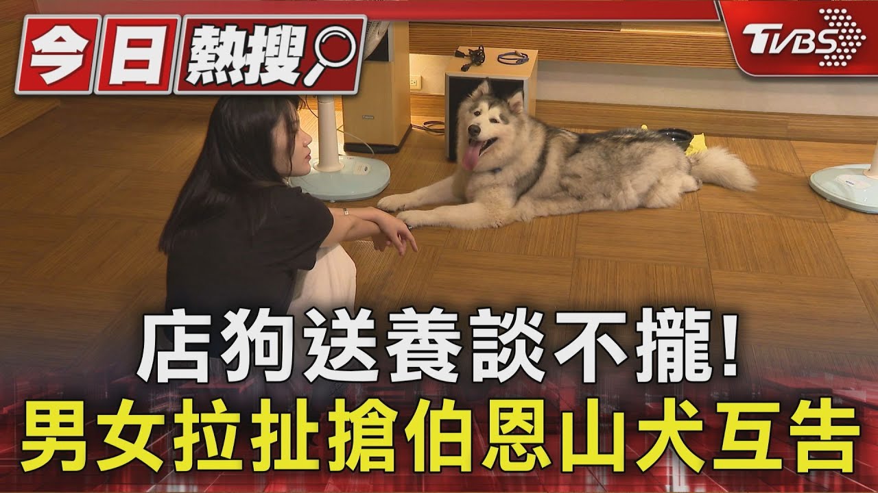獨/寵物餐廳爭狗爆衝突!女老闆「摔倒在地」 男飼主推肩反控被跟蹤
