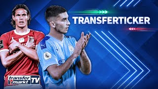 Man City holt Torres als Sané-Ersatz / Hertha kauft Schwolow / Cavani zu Benfica | TRANSFERMARKT