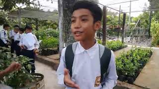 Download lagu FIELD STUDY KELAS 7 SMP IT ABU BAKAR YOGYAKARTA 15 OKTOBER 2019 mp3