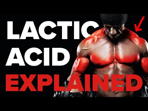 Does Lactic Acid ACTUALLY Cause Muscle Soreness? (The Scientific Explanation)