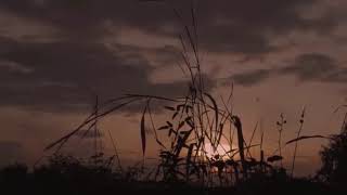 Download lagu Ariel Noah Feat BCL Full Album 2021   Mencari Cinta, Menghapus Jejakmu, Cinta Sejati ROMANTIC SONG mp3