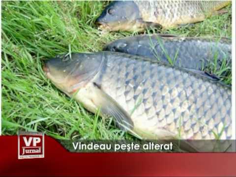 Vindeau peste alterat