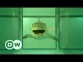 Euromaxx Highlights - Kultur und Lifestyle | DW Deutsch Euromaxx Highlights - Kultur und Lifestyle | DW Deutsch