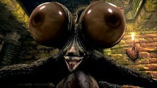 Dark Souls - Trolling Compilation 2