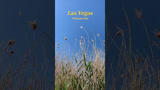 ラスベガスにはこんな所も🌿 #vlog #アメリカ生活 #アメリカ #国際結婚 #国際恋愛 #海外生活 #ラスベガス #旅行