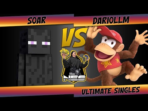NES: The Noodle Gauntlet - Soar (Steve) Vs. DarioLLM (Diddy Kong) SSBU Ultimate Tournament