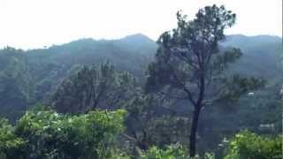 preview picture of video '798 KALKA -SHIMLA TRAVEL  VIEWS by www.travelviews.in, www.sabukeralam.blogspot.in'