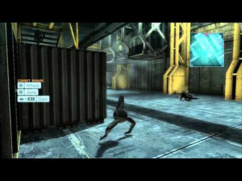 Metal Gear Rising Dwarf Raiden Trophy / Achievement guide