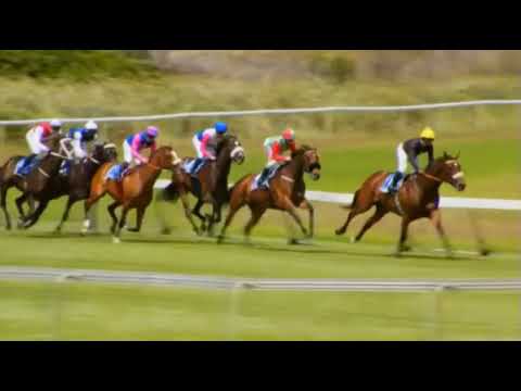 CAPTAIN'S RANSOM - Kenilworth 04 DEC 2021