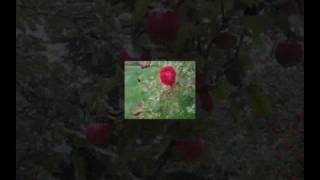 Just like You do, Little Queenie