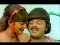 Pudichaalum Pudicha Gopurangal Saivathillai Song Mohan Radha