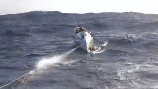 Talisker Whisky Atlantic Challenge - Behind the scene. SY SKYE