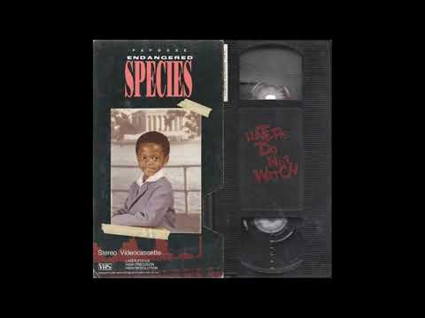 08. Papoose - Hate Be Real