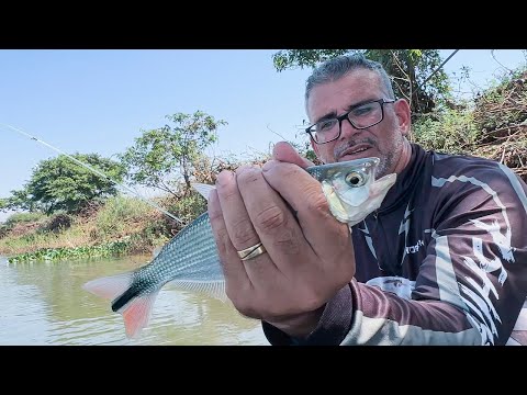 Pescaria em Planura Minas Gerais rio grande