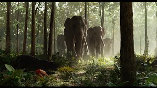 The Jungle Book Trailer