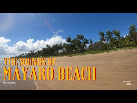 Beach Sounds | Mayaro Trinidad