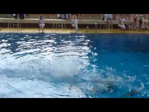 MCR 2013 senior_kombo