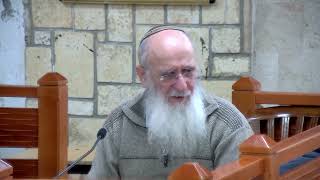 ניסיון המלכת אדוניהו – שיעור 2 – מלכים א' – פרק א'