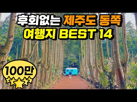 직접 다녀온 외국같은 제주도 여행지 베스트 14