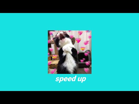 NORITH (OF POLARIX) X SOPHIA KAO - MAYBE Speed up