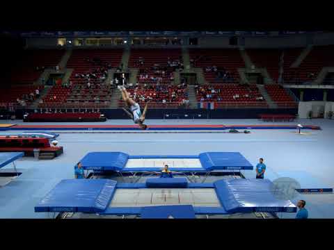 DAVYDENKO Anton (UKR) - 2017 Trampoline Worlds, Sofia (BUL) - Qualification Trampoline Routine 2