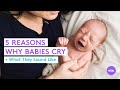 5 Basic Reasons Why Babies Cry, What They Sound Like and What They Mean - What to Expect