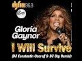 Gloria Gaynor I Will Survive DJ Ozeroff & DJ Sky ...