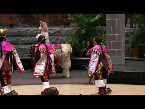 Celebrating the Great Inka Road 2