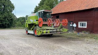 Claas Dominator 68s grain harvester for sale - Image 4 | Agroline MY Claas Dominator 68s grain harvester | Image 4 - Agroline