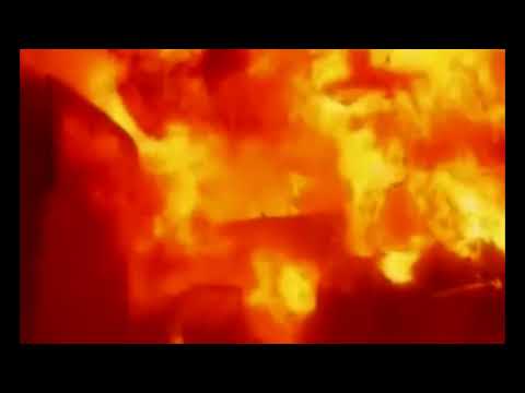 VOANDO BAIXO - Thales DUSARES ZAL VOCAL