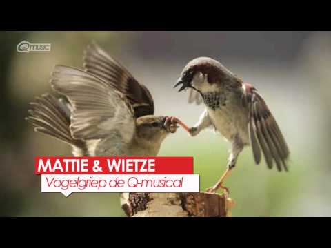 Vogelgriep de Q-musical // Mattie & Wietze @ Q-music