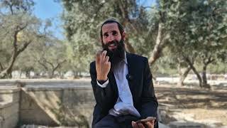 השליחות המיוחדת שלנו בהר הבית - להתפלל! ר"ח חשוון ופרשת נח | הרב אלישע וולפסון (ישיבת הר הבית) - התמונה מוצגת ישירות מתוך אתר האינטרנט יוטיוב. זכויות היוצרים בתמונה שייכות ליוצרה. קישור קרדיט למקור התוכן נמצא בתוך דף הסרטון השליחות המיוחדת שלנו בהר הבית - להתפלל! ר"ח חשוון ופרשת נח | הרב אלישע וולפסון (ישיבת הר הבית) - התמונה מוצגת ישירות מתוך אתר האינטרנט יוטיוב. זכויות היוצרים בתמונה שייכות ליוצרה. קישור קרדיט למקור התוכן נמצא בתוך דף הסרטון