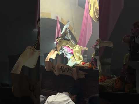 Virgen del Rosario - La Florida - Octubre 2026