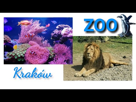 🐯ZOO KRAKÓW  🦁OGRÓD ZOOLOGICZNY W KRAKOWIE