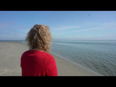 Linde Nijland - The Island