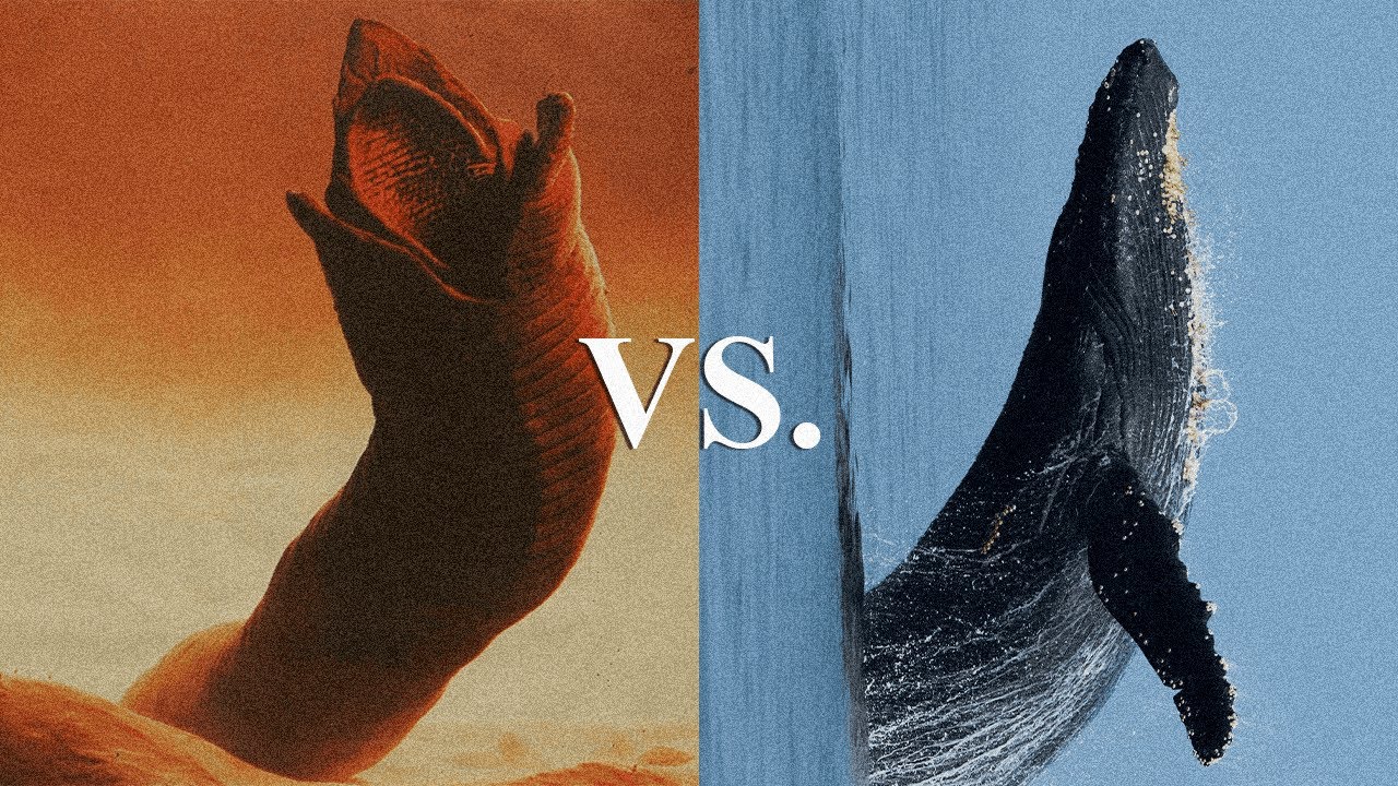 The Sandworm Paradox - Dune