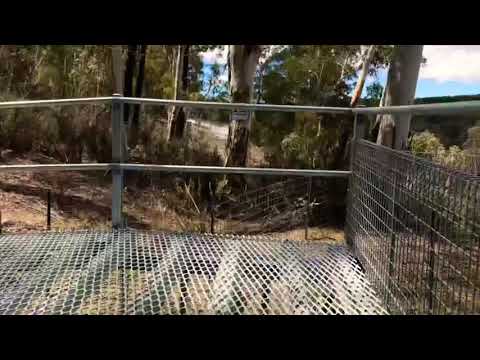 The bobsled alpine slide in corin forest