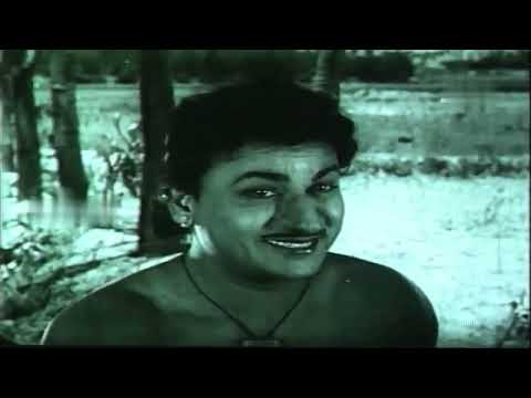 ಅಣ್ಣ ತಂಗಿ ಚಿತ್ರದ ಗೀತೆ - ಕಂಡರೂ ಕಾಣಧಾಂಗೆ Kandaru Kanadhaange - Anna Thangi (1958) | G. K. Venkatesh