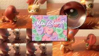 The Mr T Experience - &quot;More than Toast&quot;