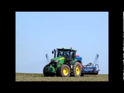 Raps legen 2014 (Oberlausitz)