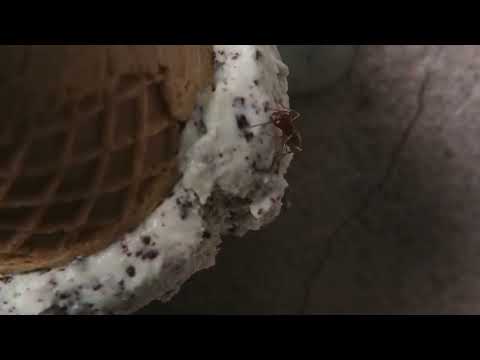 A Story of Ice Cream | Better Call Saul (HD CLIP)