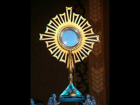 Decidimos Te Servir Por Amor - CCEM