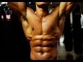 Fat Cells Won T Go Away The Danger Of Bulking Too Fast
