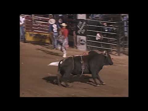 Rampage bucks Toby Turner - 99 PBR Tunica