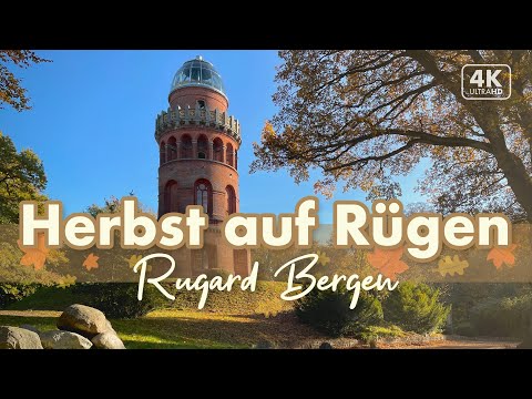Rugardwald in Bergen - Herbst auf Rügen 2021 (4K Walk)