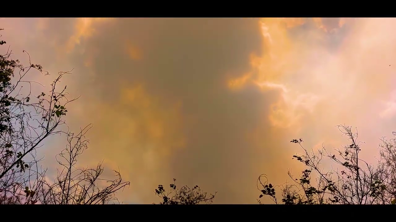 INCÊNDIOS FLORESTAIS E A POLUIÇÃO URBANA: o evento extremo de Brasília (setembro/2024)