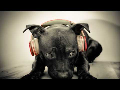 Funky House Mix 2026 / Mixed By Cole / Session 82#house#funkyhouse #deephouse