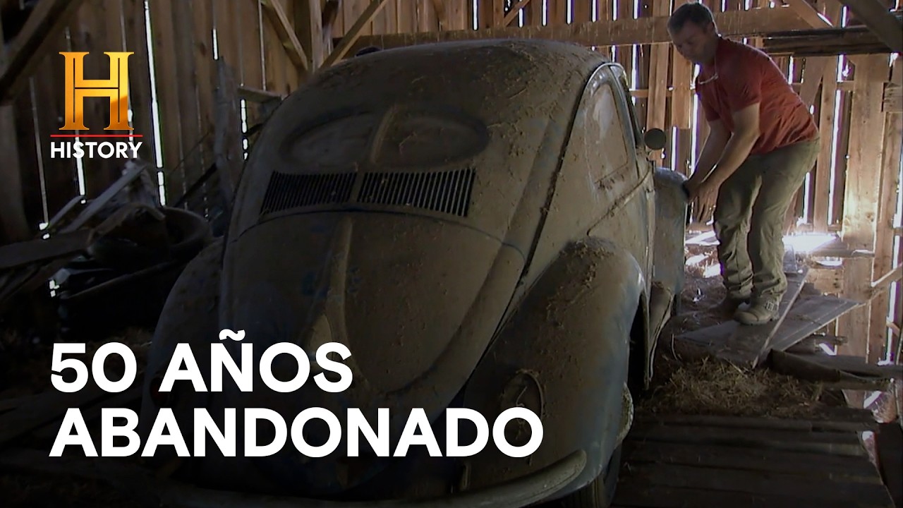 UN ESCARABAJO EN EL GRANERO - CAZADORES DE TESOROS