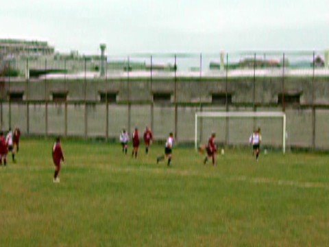 mario gerbi - fiano plus